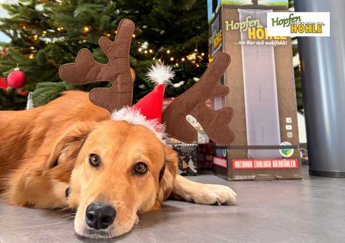 Unsere Mitarbeiterin des Jahres: HopfenHöhle-Hündin Lola